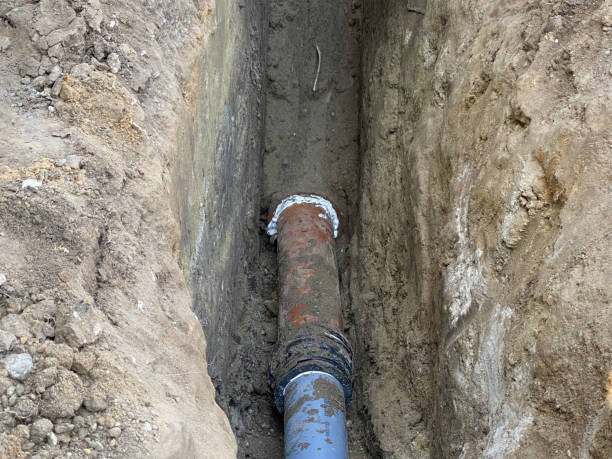 Best Sewage cleanup and water damage restoration  in Zebulon, NC