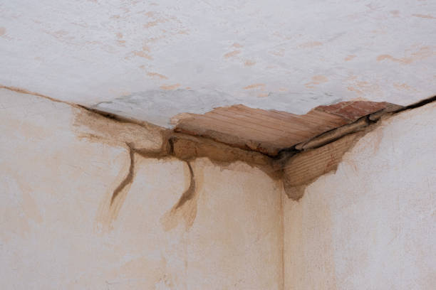 Best Fire Damage Restoration  in Zebulon, NC
