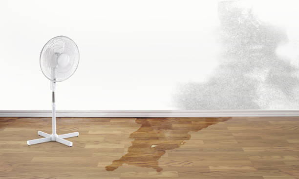 Best Commercial water damage restoration  in Zebulon, NC