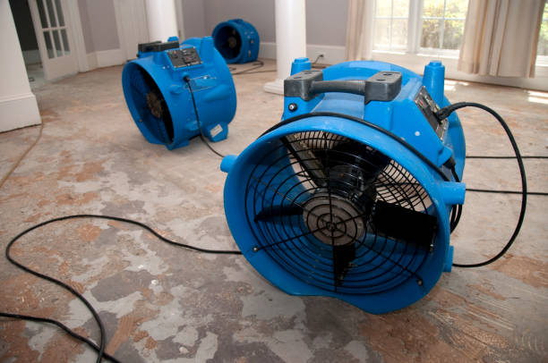 Local water damage restoration in Zebulon, NC