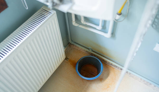 Best Professional water damage repair  in Zebulon, NC