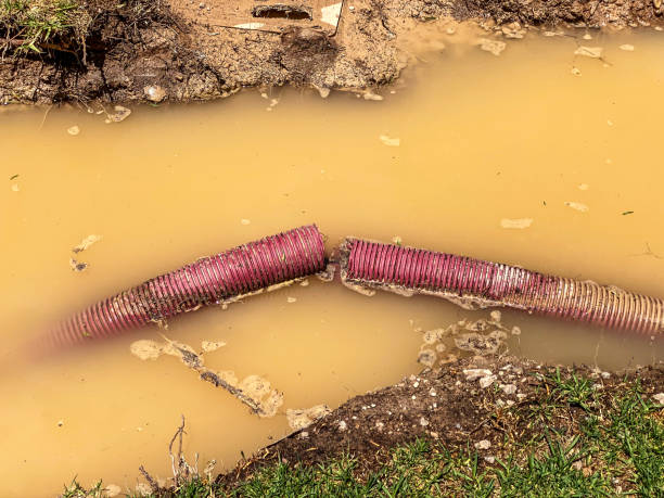Best 24/7 water damage repair  in Zebulon, NC