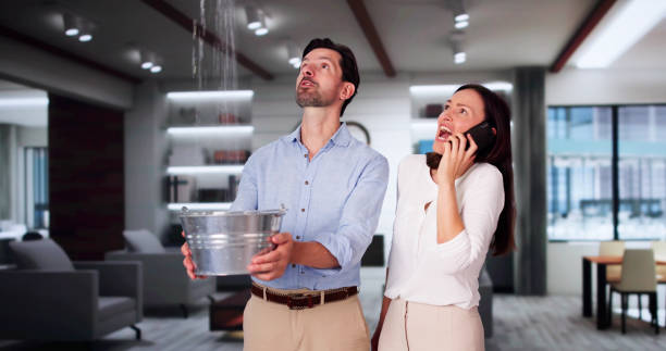 Best Water damage restoration process  in Zebulon, NC
