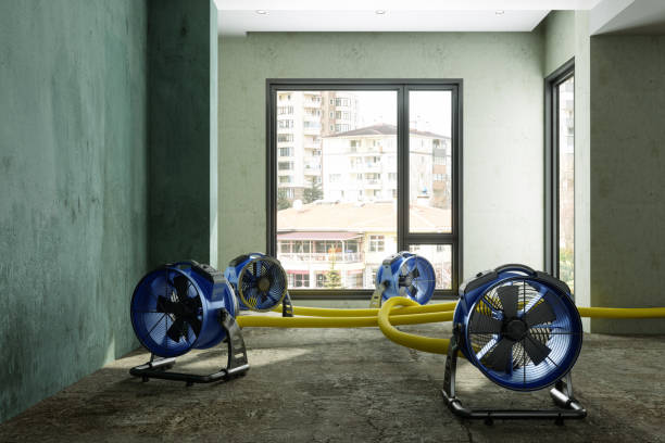 Best Local water damage restoration  in Zebulon, NC