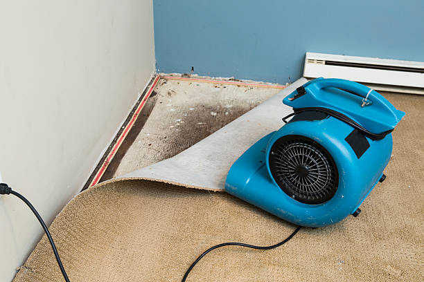  Zebulon, NC Water damage restoration Pros