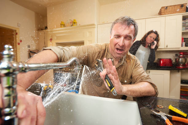 Best Local water damage restoration  in Zebulon, NC